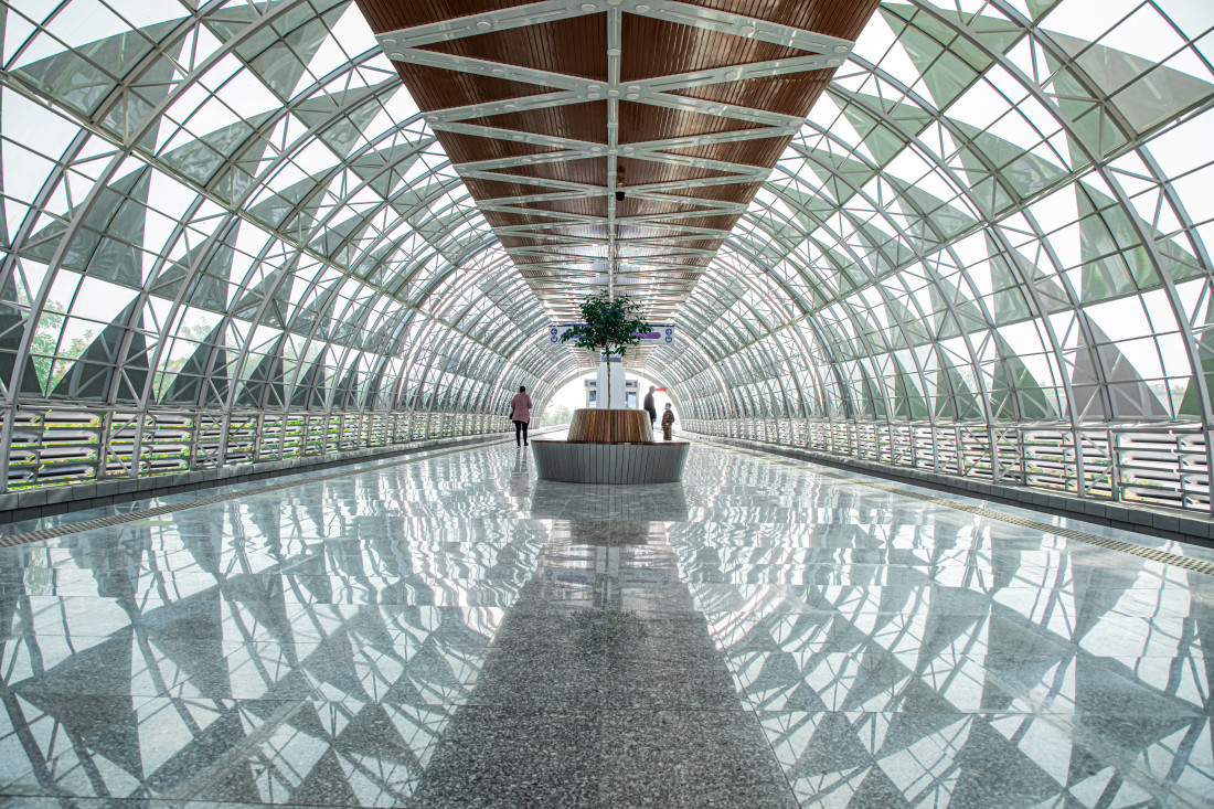 Porno yosh bumblebees